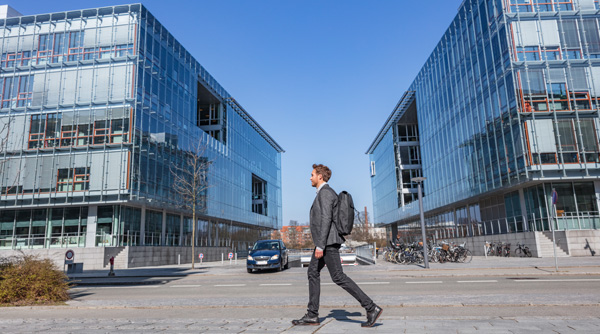 International workforce in Denmark